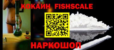 гидропоника Владимир