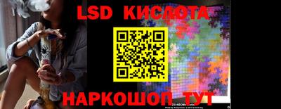 гидропоника Владимир