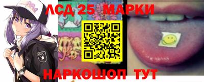 гидропоника Владимир