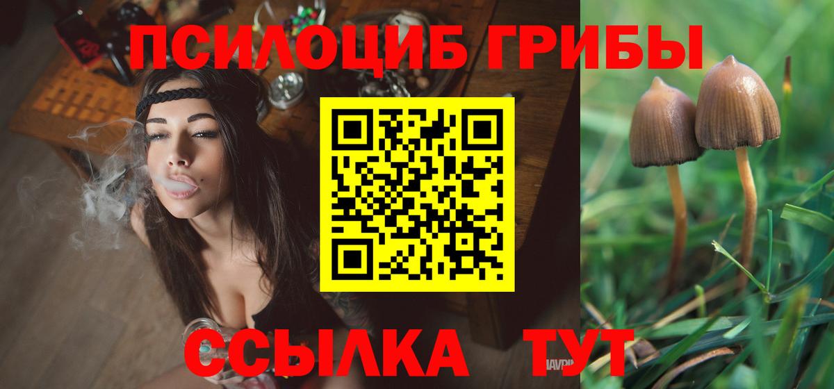Псилоцибиновые грибы Psilocybe  Вход с VPN  Похвистнево 
